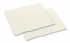 2 Ply Napkin catering item